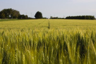 Impacts du changement climatique conduisant à une exposition accrue à des toxines nocives | Communiqués de presse