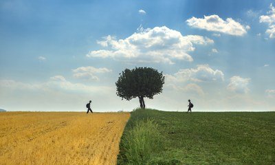 L&rsquo;AEE lance un concours photo Environnement&Me | Communiqués de presse