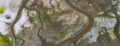 Les politiques d&rsquo;adaptation européennes progressent, mais une action plus forte est nécessaire pour faire face aux risques climatiques croissants | Communiqués de presse