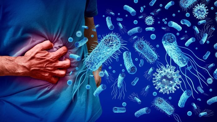 Les infections graves à Listeria augmentent en Europe, prévient un rapport de l’UE Les infections graves à Listeria augmentent en Europe, prévient un rapport de l’UE
