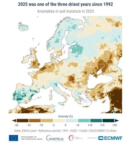 w453 179018 fig10 1a esotc 2025 annual soil anomaly era5 land 1