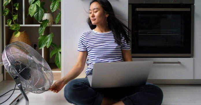 Le blanc de Meudon, astuce efficace contre la canicule pour votre logement ? Le blanc de Meudon, astuce efficace contre la canicule pour votre logement ?