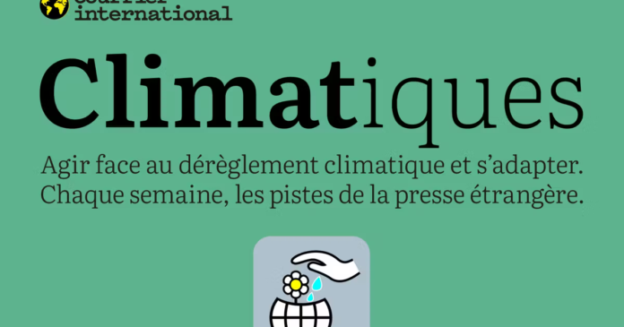 C’est la lutte sociale pour sauver la planète C’est la lutte sociale pour sauver la planète