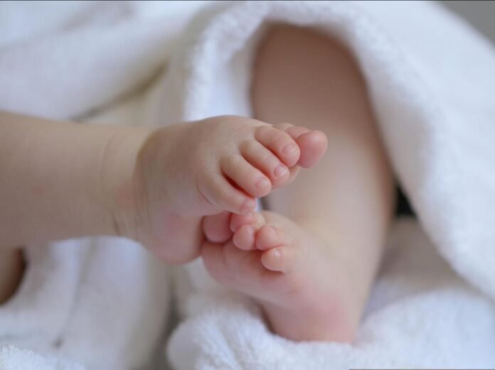 Et si nous ne faisions plus d'enfants ? Et si nous ne faisions plus d'enfants ?