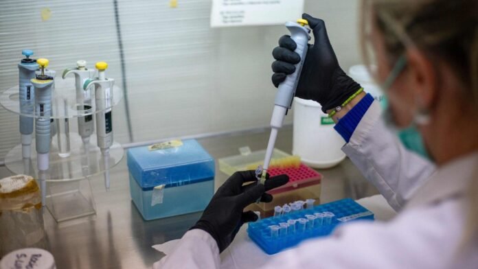 Hantavirus : l’OMS considère que l’épidémie devrait officiellement prendre fin le 2 juillet Hantavirus : l’OMS considère que l’épidémie devrait officiellement prendre fin le 2 juillet
