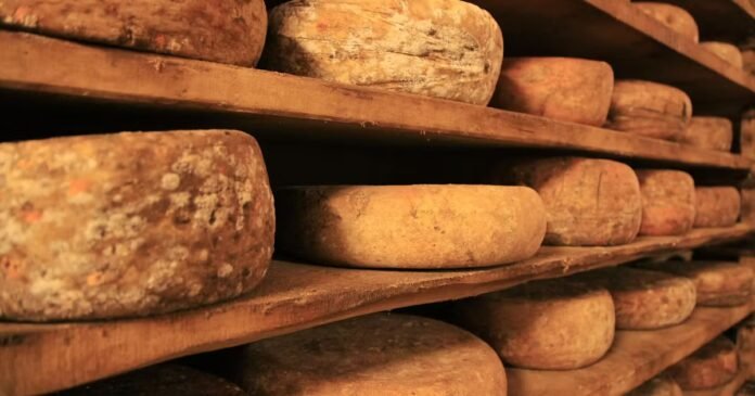 Pourquoi le crime organisé est fondu de fromage