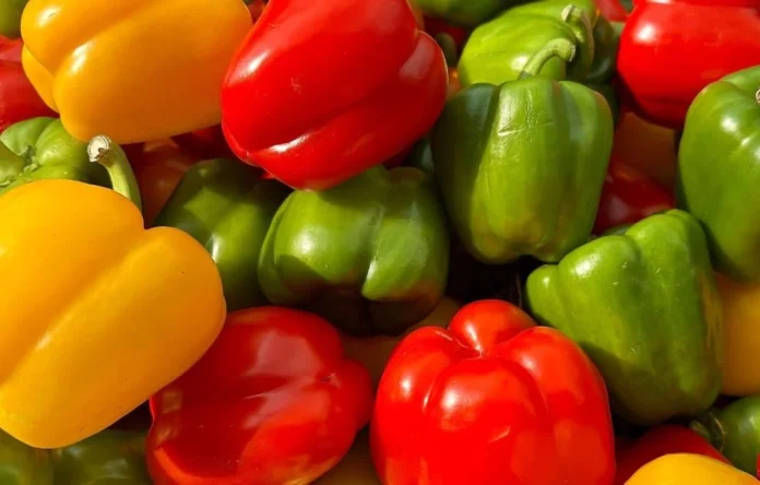 Quels sont les bienfaits du poivron ? Quels sont les bienfaits du poivron ?