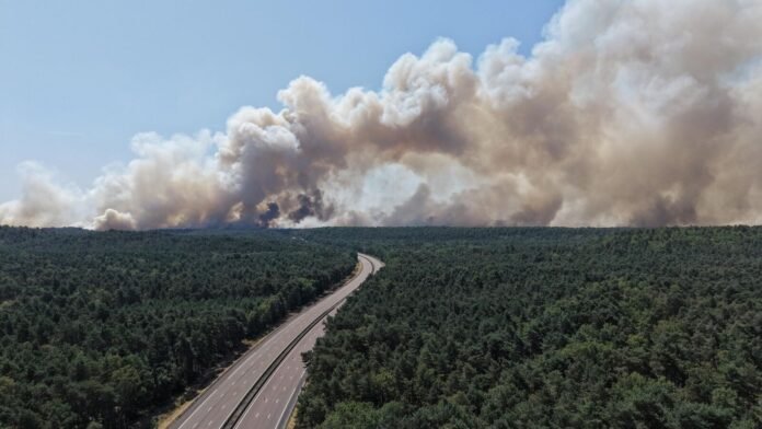 Asthme, troubles cardiaques, pollution des eaux, oiseaux désorientés… les effets inédits et à long terme des incendies