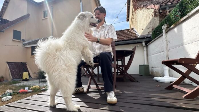 Bianca, un agent immobilier qui a du chien Bianca, un agent immobilier qui a du chien