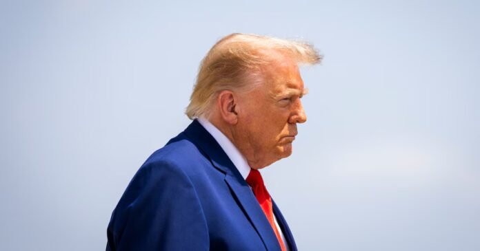 Donald Trump et les droits de douane : "Si on lui ferme la porte, il passera par la fenêtre" Donald Trump et les droits de douane : "Si on lui ferme la porte, il passera par la fenêtre"
