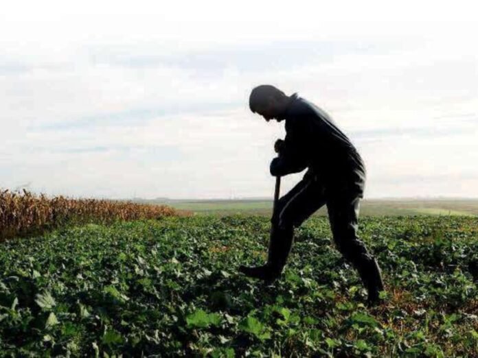 Et si on se passait de pesticides Et si on se passait de pesticides