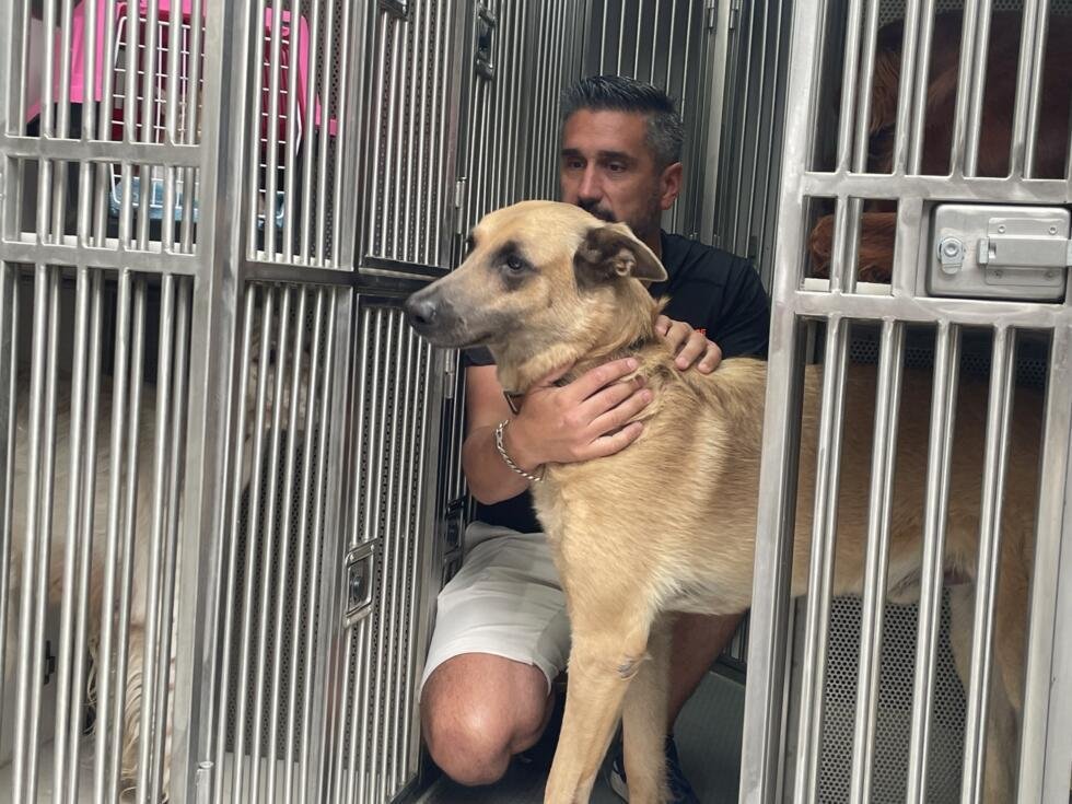 David Avril garde le malinois d'un de ses clients, évacués en raison des incendies en Gironde, le 27 juillet 2026