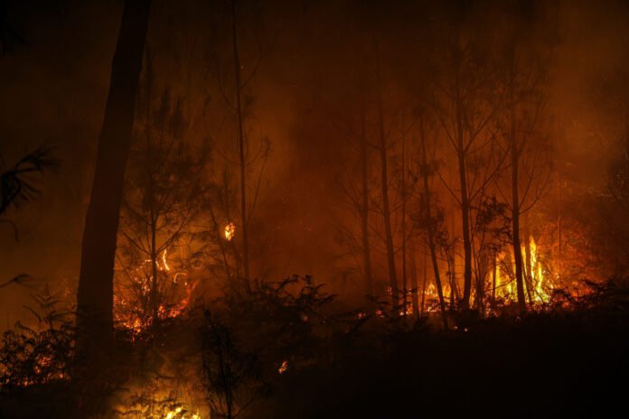 Incendies : « Ce n’est pas une surprise, le GIEC dit que le risque incendie devrait augmenter dans tous les pays européens », explique un climatologue