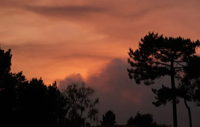 Incendies dans le Sud-Ouest : Comment naissent les pyrocumulonimbus, surnommés les « orages de feu » ? Incendies dans le Sud-Ouest : Comment naissent les pyrocumulonimbus, surnommés les « orages de feu » ?