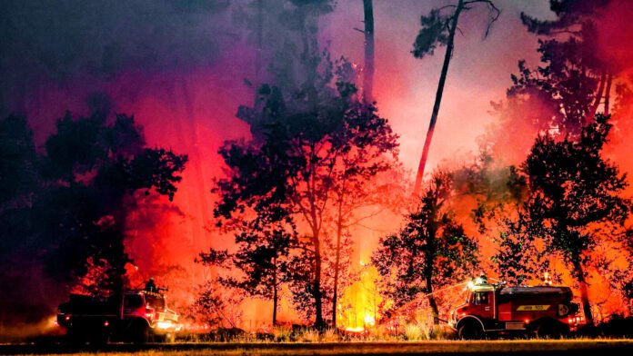 Incendies : mais que va-t-il rester des Landes et de la Gironde ? Incendies : mais que va-t-il rester des Landes et de la Gironde ?