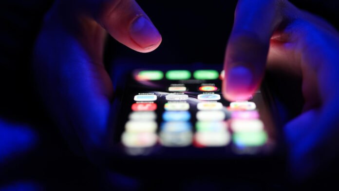 Interdiction des réseaux sociaux aux moins de 15 ans : LFI dépose un recours devant le Conseil constitutionnel