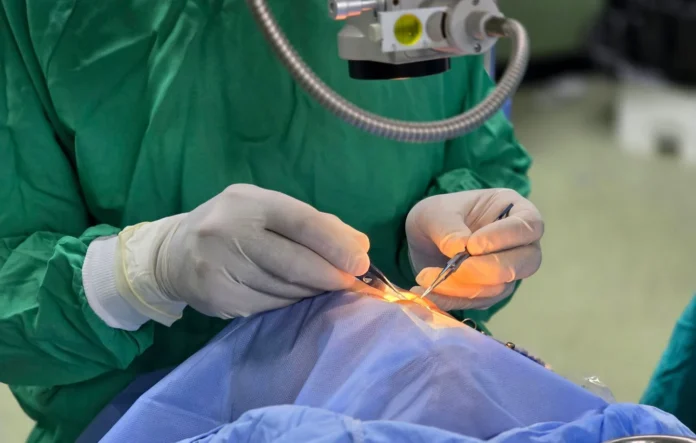 Italie : Une greffe inédite d’une partie de la rétine rend la vue à une femme aveugle