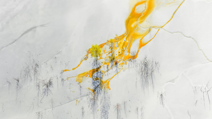 La photo de la semaine : c’est beau, on dirait du Pollock… jusqu’à ce que vous compreniez ce que c’est ! La photo de la semaine : c’est beau, on dirait du Pollock… jusqu’à ce que vous compreniez ce que c’est !