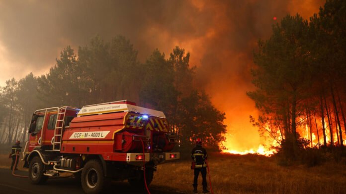 Multiplication des incendies : le cerveau humain coupable du déni climatique ? Multiplication des incendies : le cerveau humain coupable du déni climatique ?