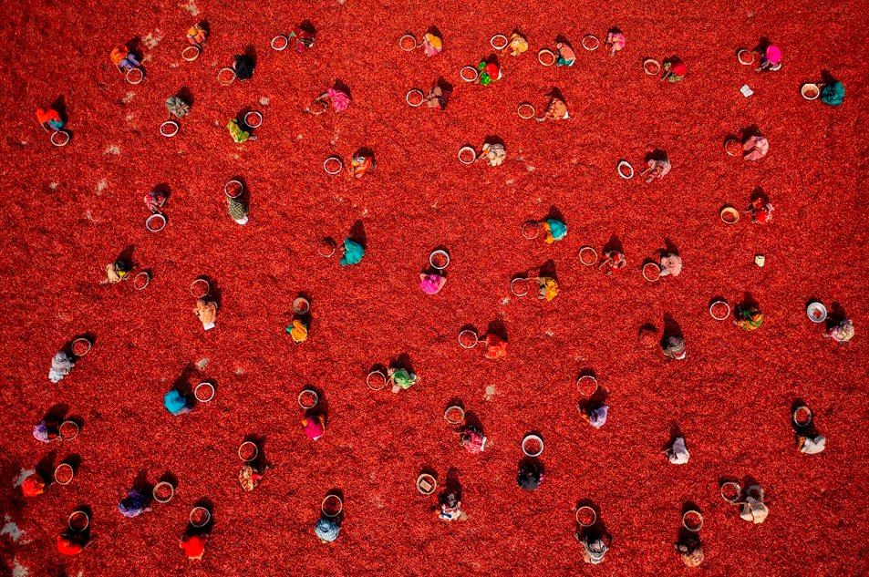La photo de la semaine : c’est beau, on dirait du Pollock… jusqu’à ce que vous compreniez ce que c’est ! 6 aerial photographer year 2026 azim khan ronnie
