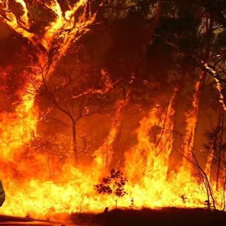 Pompiers combattant un feu sauvage. © IsraelYvenson, Twitter
