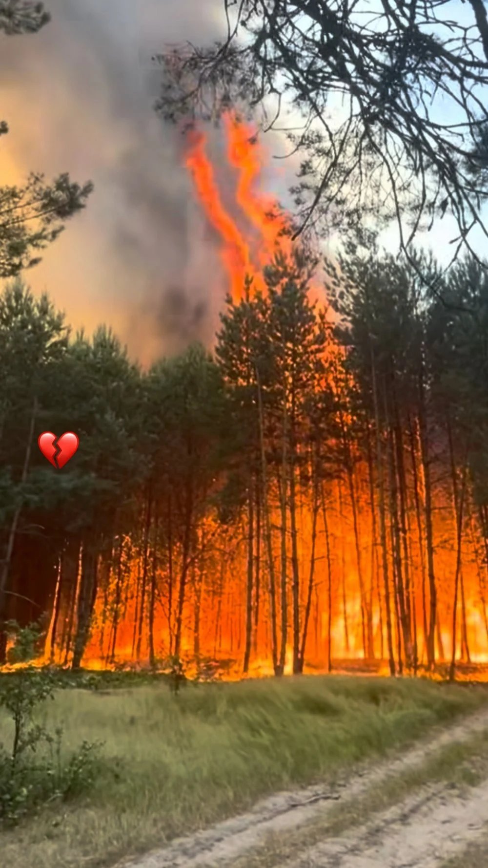 Incendie en Gironde : Laura Smet, le cœur brisé, partage des photos du Cap-Ferret en feu, "quelle tristesse" 1 incendie laura smet2