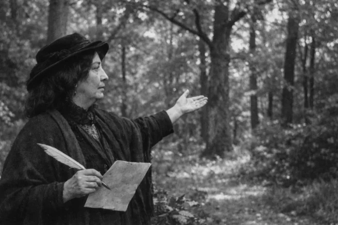 George Sand, la forêt de Fontainebleau et le droit à la beauté